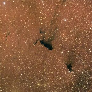 Meet your Posher, Jillian